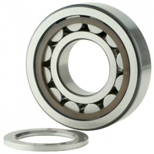 NUP309 ECJ/C3 / SKF